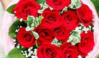 送玫瑰花朵数的含义 玫瑰花束多少朵的意义
